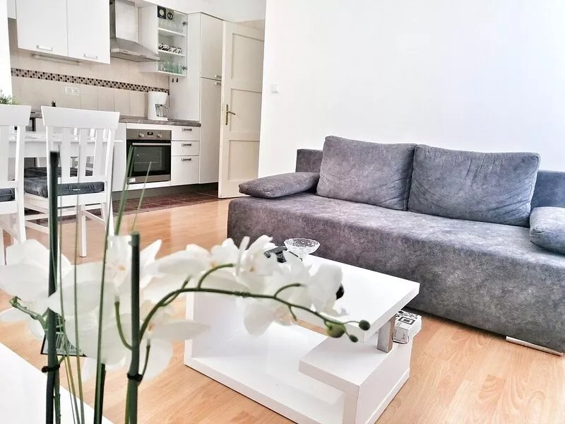 Top location (150 m- Bacvice, 400 m-Diocletian’s Palace, 5-minute walk to ferry)