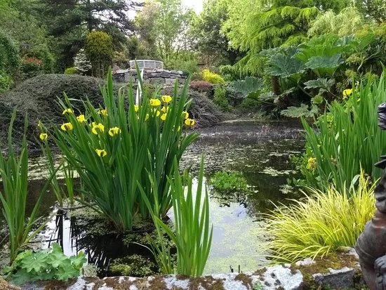 Homestead Woodland Gardens