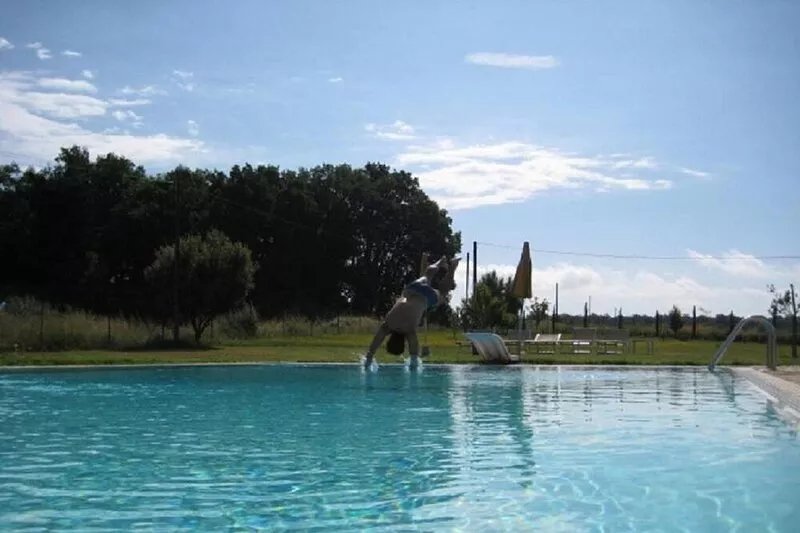 pleasant characteristic farmhouse in a part of the Chianti ideal for visiting