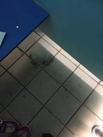 Hatfield Swim Centre - Swimming Pool