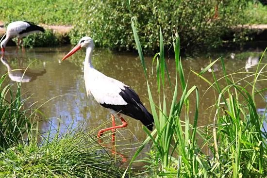 NaturZoo Rheine