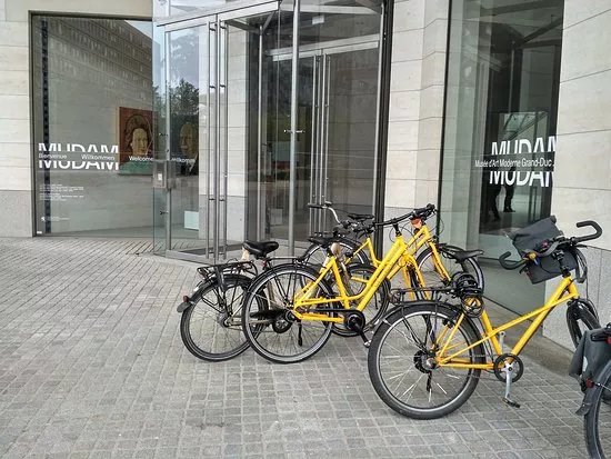 FEEL! Bike Tours