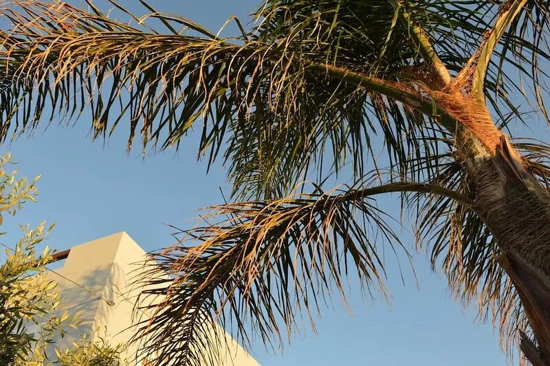 White Sand resort. Family-friendly hotels up to 6 people