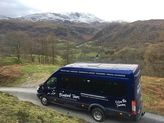 Bluebird Tours