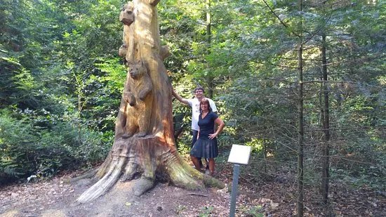 Arboretum Exotenwald