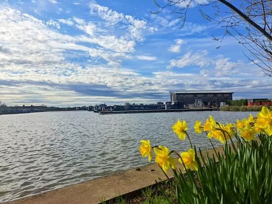 Bosworth Marina