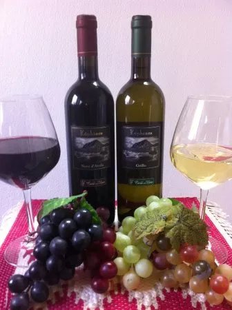 La Casa del Vino