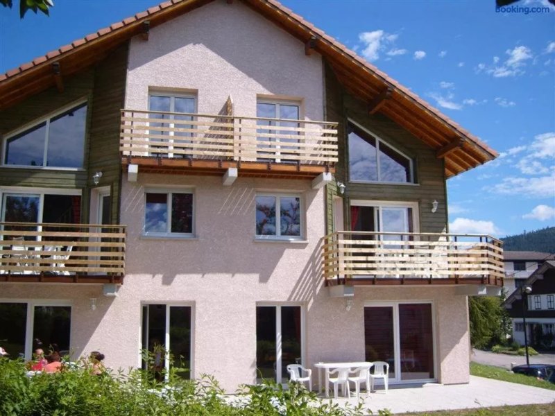 Appartements Au Chalet Des Moulins A Gerardmer