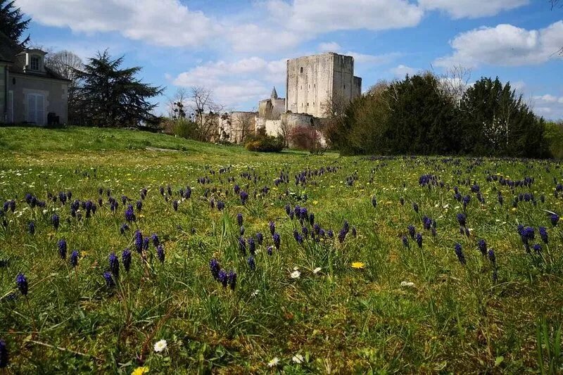 Family home, magnificent view, large garden, close to the châteaux of the Loire