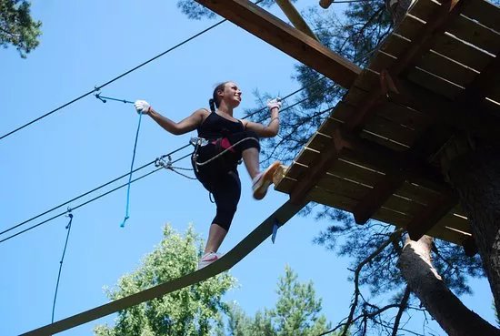 Hallikivi Adventure Park