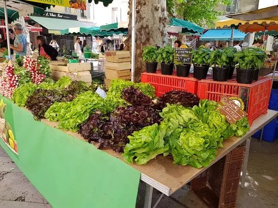 Marche aux Fruits et Legumes