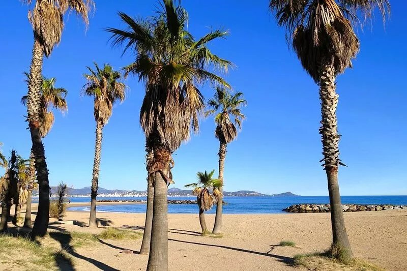 Apartment Le Mas des Calanques  in Saint Aygulf, Cote d'Azur - 4 persons, 1 bed