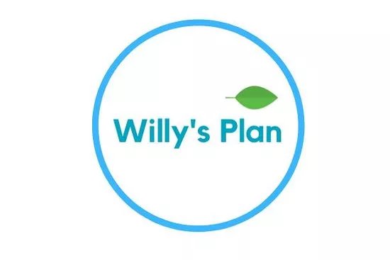 Willy's Plan