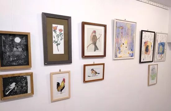 Galeria Ginkgo