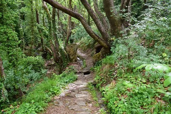 Centaurs' Path