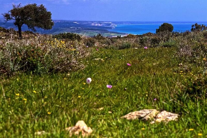 Large villa with private pool, sea view, 3 en-suite bedrooms, Pissouri, Cyprus