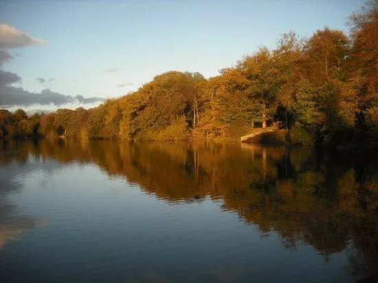Gnoll Estate