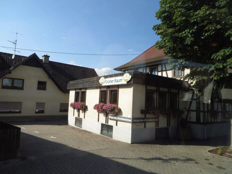 Hotel Gruner Baum Restaurant