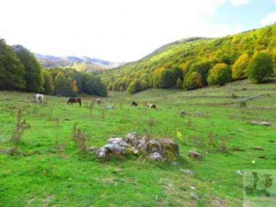 Sentiero F4 Fondillo - Forca d'Acero