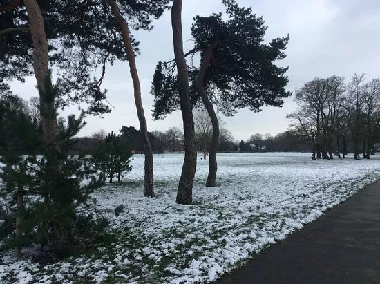 Cator Park