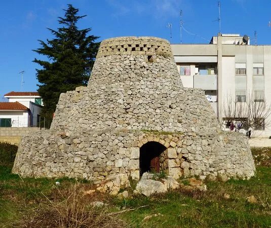 Pajara "trausceddhu" O Trauscello