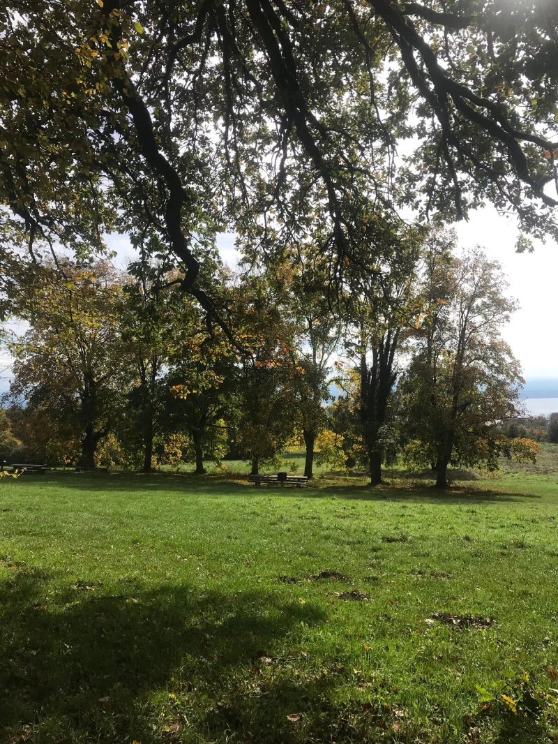 Parc De Pierre-a-bot
