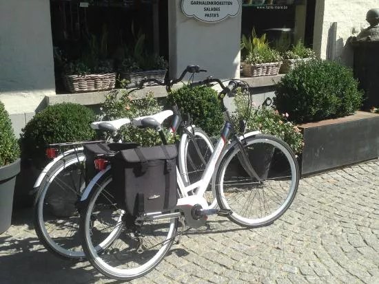Bruges Bike Rental
