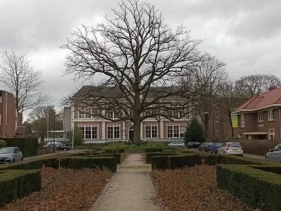 Koninklijke Hogere Burgerschool (1877)