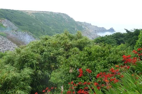 Chygurno Garden