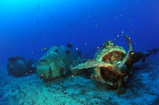 Blue Fin Divers Naxos Greece
