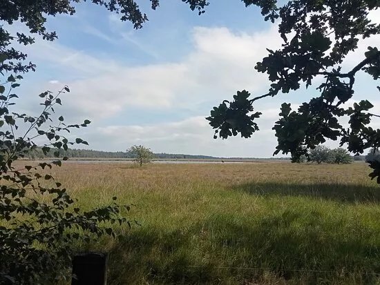 Duurswouder Heide