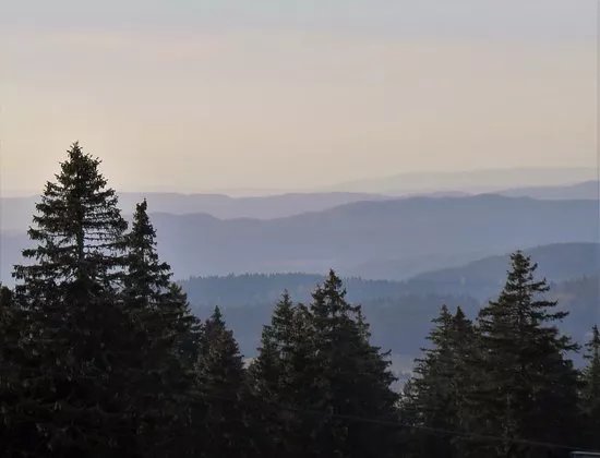 Reserve Naturelle de la Haute Chaine du Jura