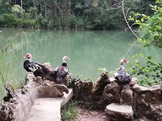 Curia Park