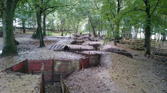 Sanctuary Wood