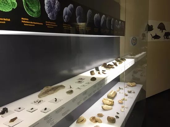 Fossilienwelt Weinviertel