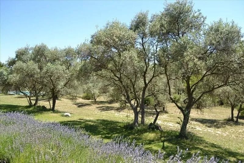 Cottage in Grounds of Bastide with pool and tennis walking distance from Aix