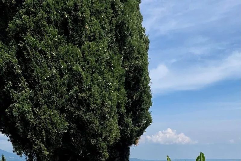 Your country Villa with a amazing view, private garden and private pool!