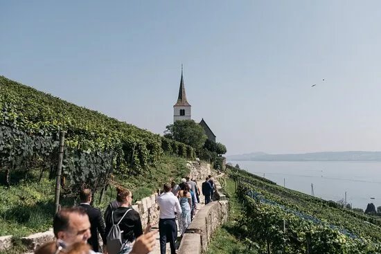 Great Wine Tour Bielersee