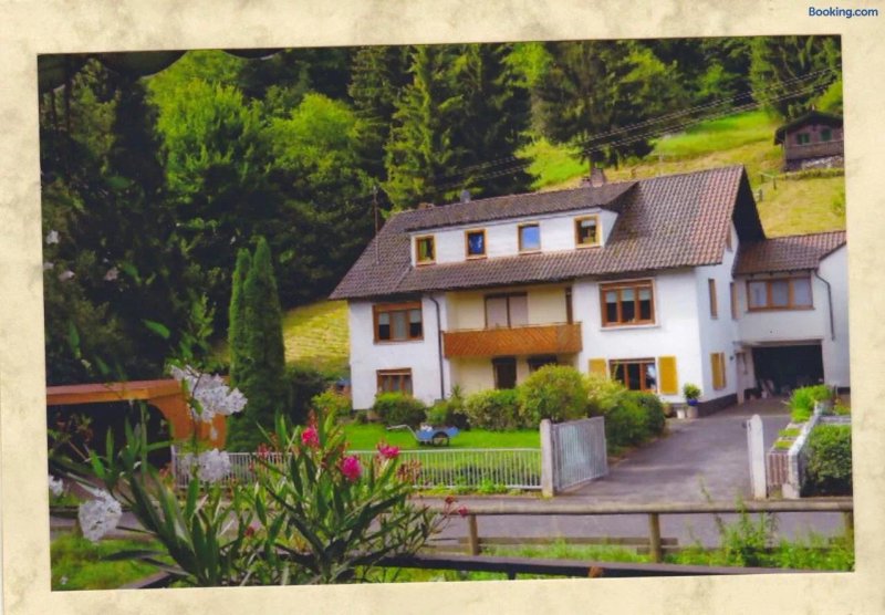 Ferienwohnung, Monteurwohnung - feel at home -