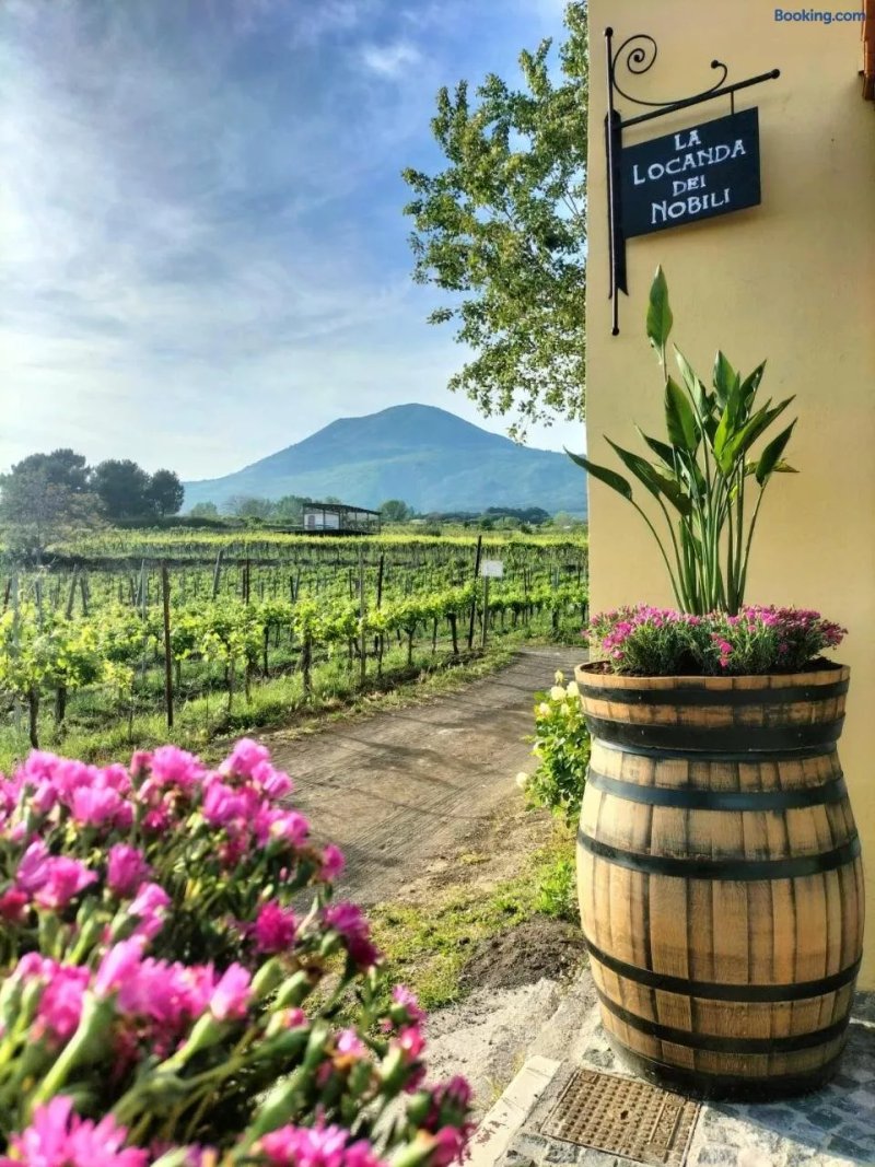 Vesuvio Inn Guest House e Wine Experience