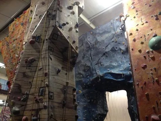 Blue Spider Climbing
