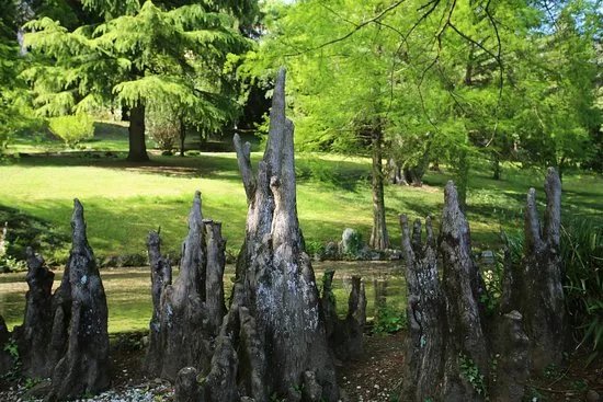 Parco Rossi