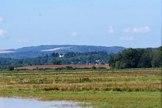 Pulborough Brooks RSPB