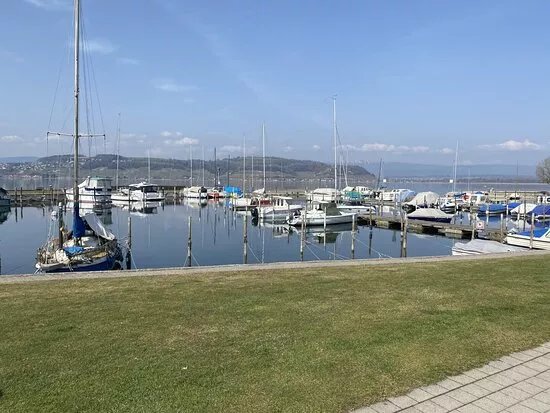 Chemin du lac de Morat