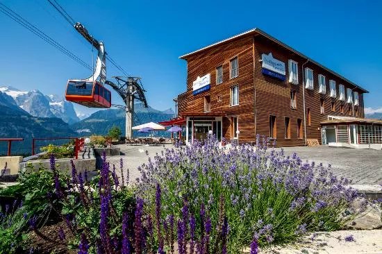 Das Hotel Panorama