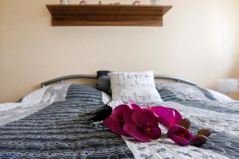 Rozsa Volgy Apartman