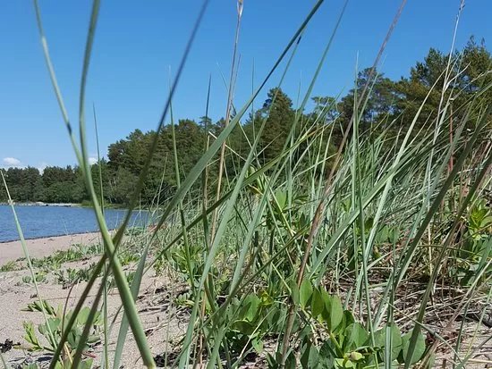 Grondalen