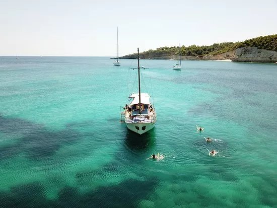Fedra Cruises