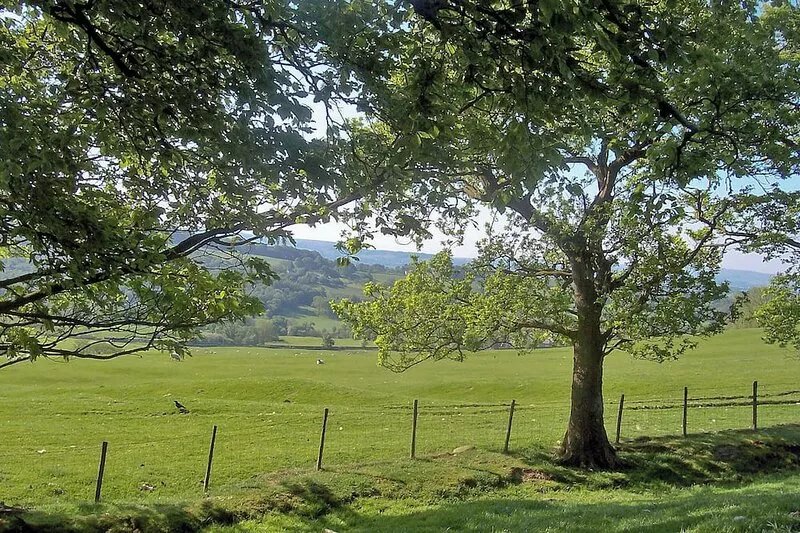 3 bedroom accommodation in Whalley