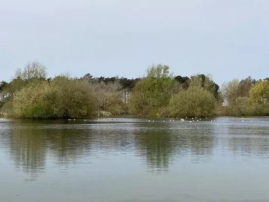 De Meeuwenduinen